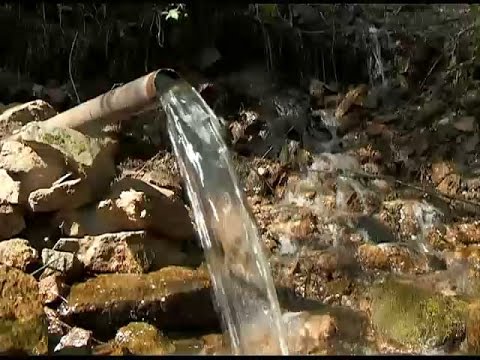 Полезна ли родниковая вода?