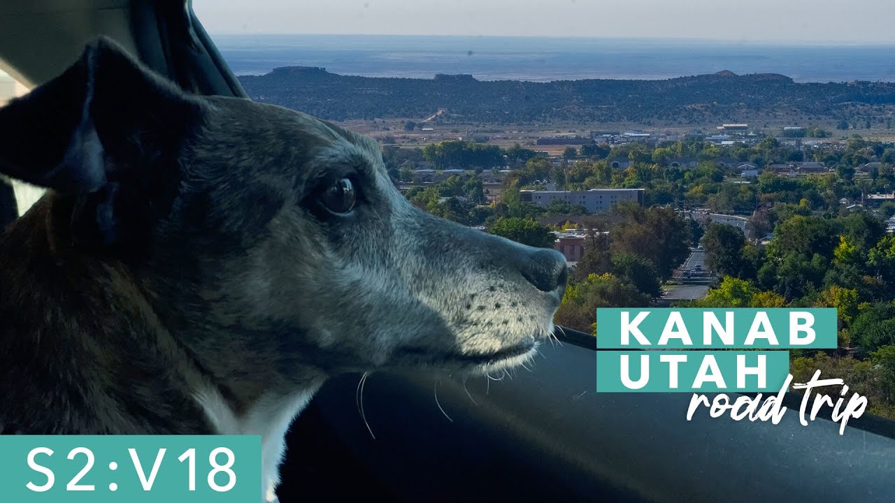 WE TOOK OUR DOG TO KANAB | Hiking in the sand caves, Coral Pink Sand Dunes State Park, Squaw Trail