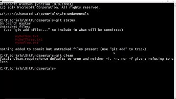 Git Fundamentals - Chapter 9 - How to clean directory using git clean?