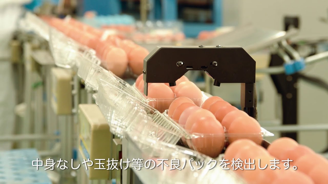 【GP内工程紹介】新鮮な卵から商品「たまご」になるまで