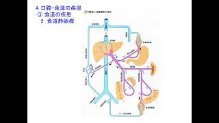 Web講義病理学第11回（第14章消化器系の疾患）（20211216）