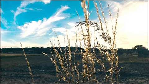 ماتيسر من سورة الأنعام فيصل ابراهيم الناصر