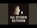 BİR BEN KALDIM