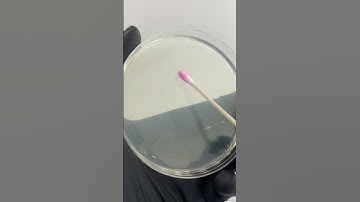 What should I test next? #ulta #bacteria