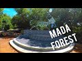 Mada Mangrove Forest, Kakinada HD (Part 1).