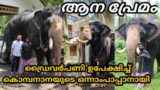 ആനയോടുള്ള ഇഷ്ടംകാരണം ഡ്രൈവർപണി ഉപേക്ഷിച്ച് ഒന്നാംപാപ്പാനായി Shree Ayyappan Elephant