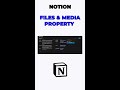 Notion: Files and Media Property 📺