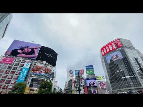 【渋谷】渋谷スクランブル交差点シンクロ放映 Jennie for Calvin Klein #calvinklein #blackpink #jennieblackpink