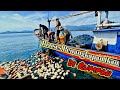Proses Nelayan Aceh Menangkap Ikan di rumpon dapat ikan ekor kuning