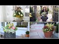 4 Early Spring Container Ideas! 🌿