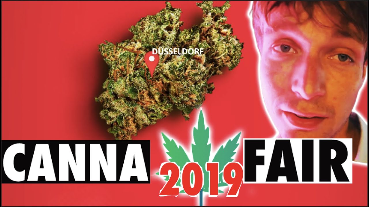 Train Ride Amsterdam to Cannafair 2019 Düsseldorf