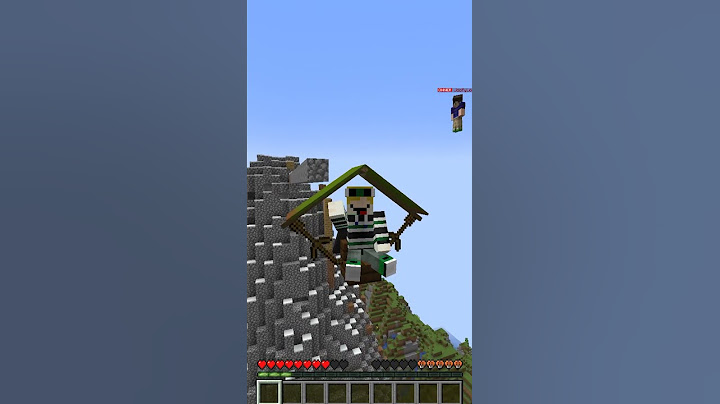 POV: You try making a crazy jump on the minecraft server