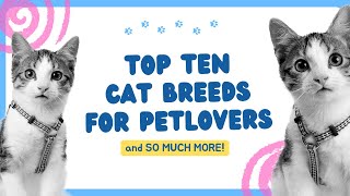 Top Ten Cat Breeds and Tips for Care!!!