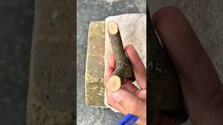 Cách Tôi Vẽ Đầu Chạc Ná Cao Su Gỗ Trước Khi Làm