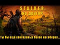 СТАЛКЕР☢️ в изометрической РПГ - Tunguska: The Visitation №10