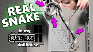I used REAL SNAKE  for my Dollhouse Stairs! (Beetlejuice Dollhouse)