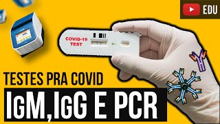 PCR, IgM e IgG - Como funciona o teste rápido e o PCR?