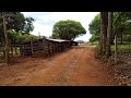 Lugar lindo Sitio Sertanejo árvores frutíferas animais plantas lagoa Bairro Perobas