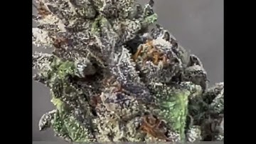 Ice Cream Cake THCA Flower - Infused Hemp Farms