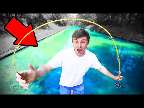 World's BENDIEST FISHING ROD Catches 8 Pounder! 