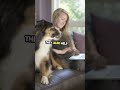 OMG Their Faces! 😂 Pets Try Human Food #Shorts