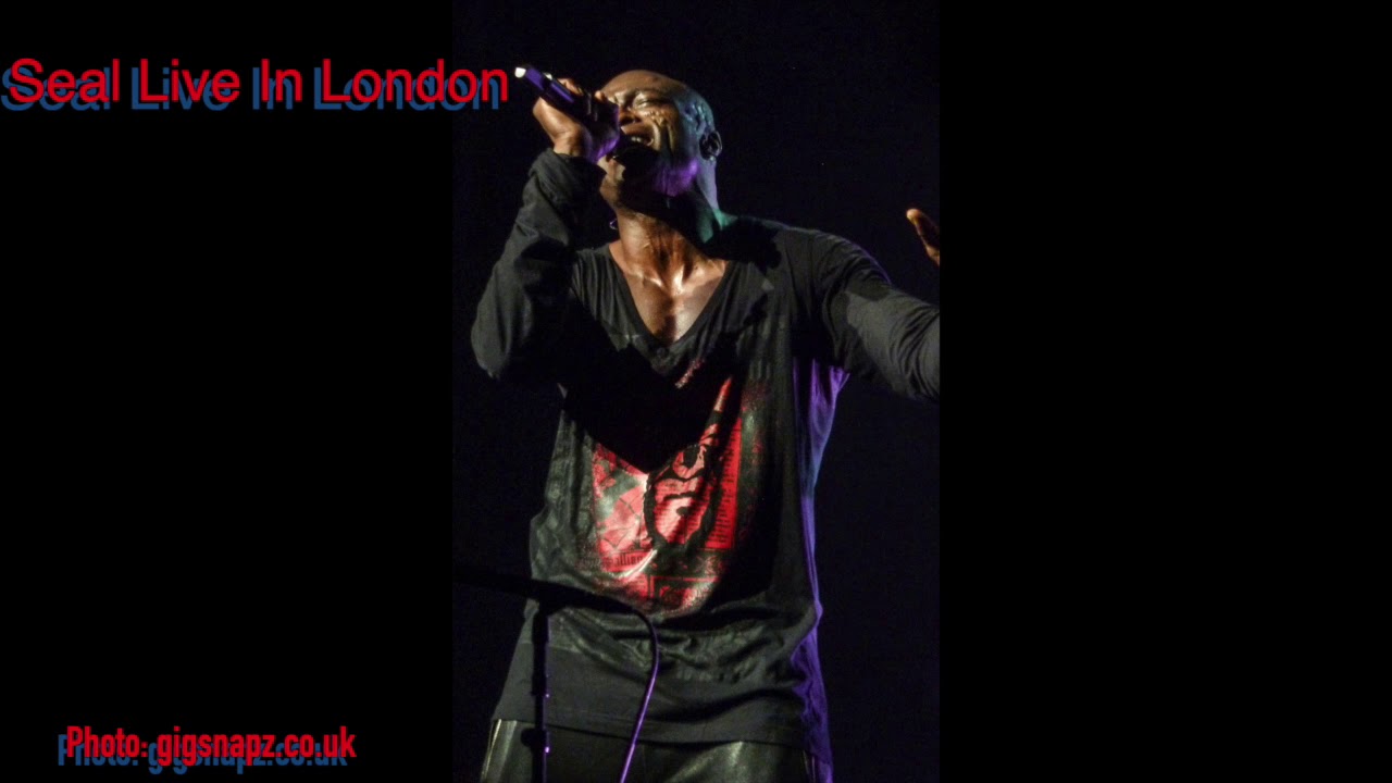 seal on tour uk