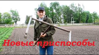 Высадили все томаты!