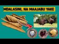 USINUNUE TENA DAWA ZA KUKU TUMIA MDALASINI KUTIBU KUKU Ufugaji Poultryfarming Tiba Kenya Chicken USINUNUE TENA DAWA ZA KUKU TUMIA MDALASINI KUTIBU KUKU Ufugaji Poultryfarming Tiba Kenya Chicken