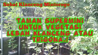 Taman supermini untuk vegetasi lebah klanceng atau trigona // Sobat Klanceng Mintorogo