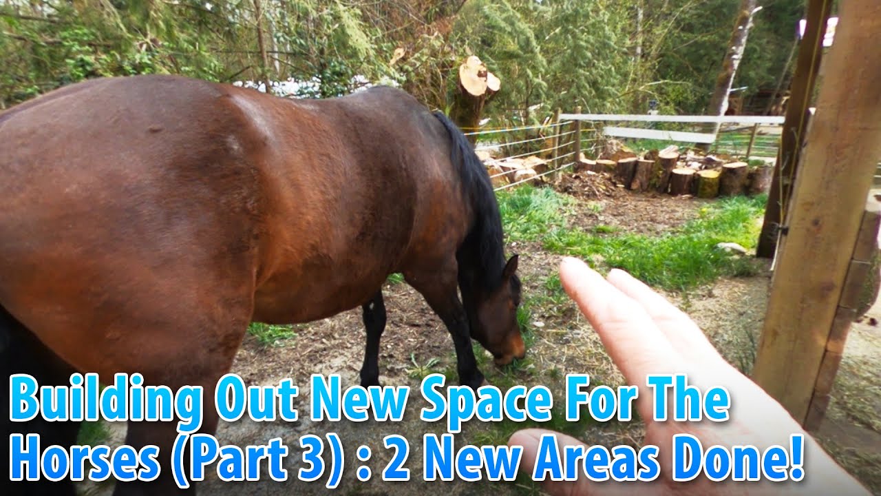 Building Out More Space For The Horses (Part 3) Two New Areas Done