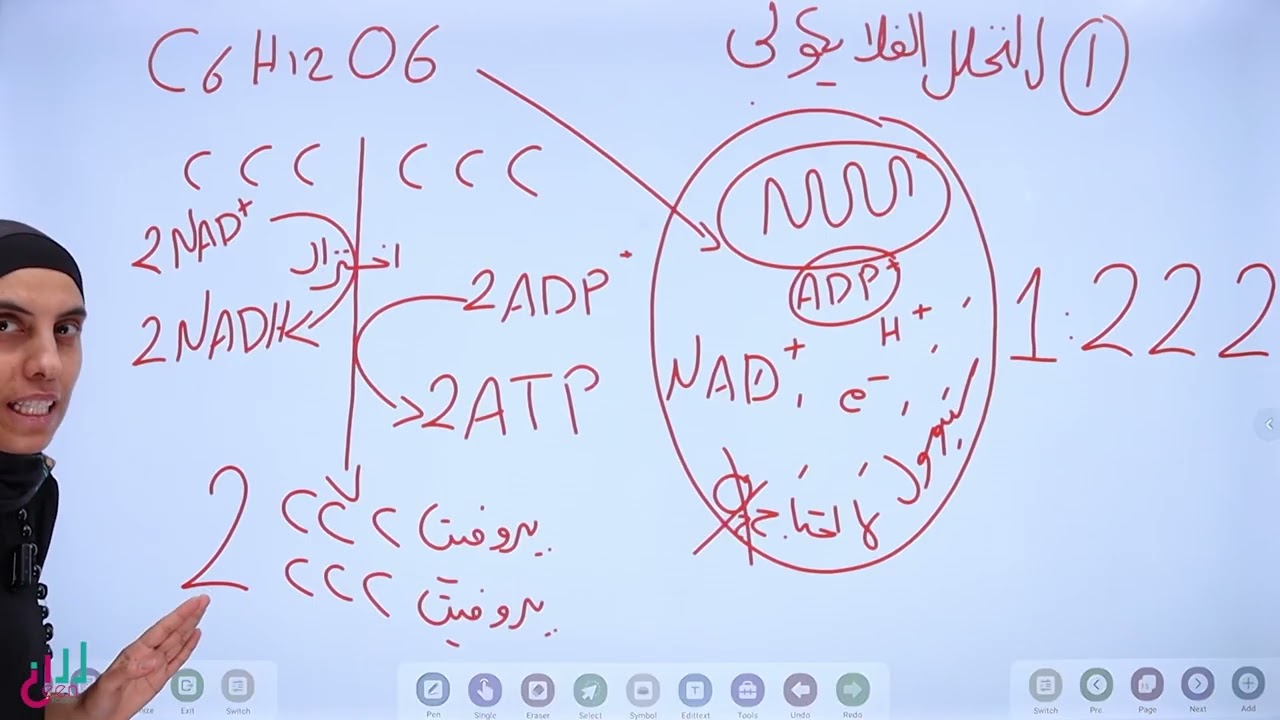#مرحلة التحلل الجلايكولي خطوة أكسدة البيروفيت الى أستيل COA#توجيهي#2008