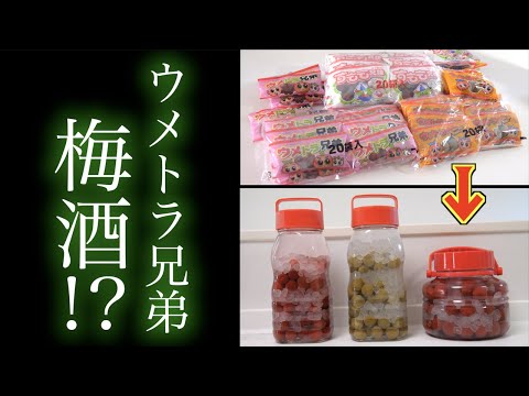 駄菓子の梅干しをアルコールにブチ込む！！