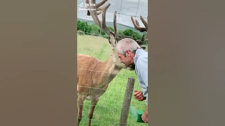 Cute kiss