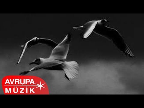 Kahtalı Mıçe - Gurbet Kuşu (Official Audio)