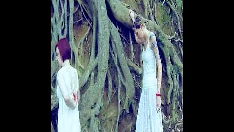 icarus video by stephanie fagan