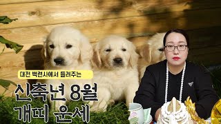 [백련사]신축년 양력 8월 개띠 운세!!