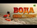 Вода живая и мёртвая