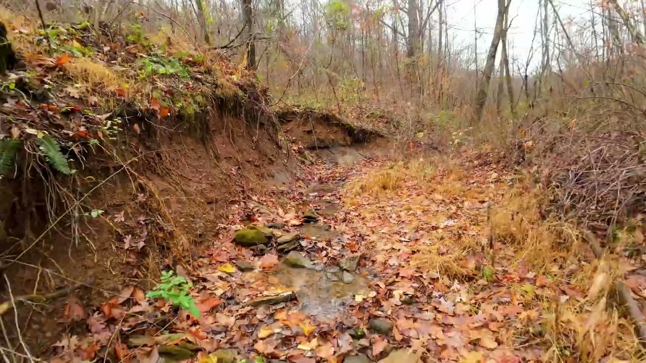 144 Acres of Prime Hunting Land in Marietta Ohio | Off-Grid Ridge Tops Trophy Whitetails & Seclusion