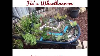 Fairy/mini garden idea in a used wheelbarrow. Drainage holes has been drilled to make sure plants have good drainage. Please 