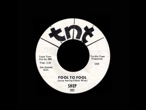 Shep - Fool To Fool