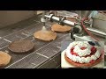 BELDOS линии и модульные системы для производства тортов и пирожных