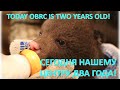 СЕГОДНЯ НАШЕМУ ЦЕНТРУ СПАСЕНИЯ МЕДВЕЖАТ СИРОТ ДВА ГОДА!!!