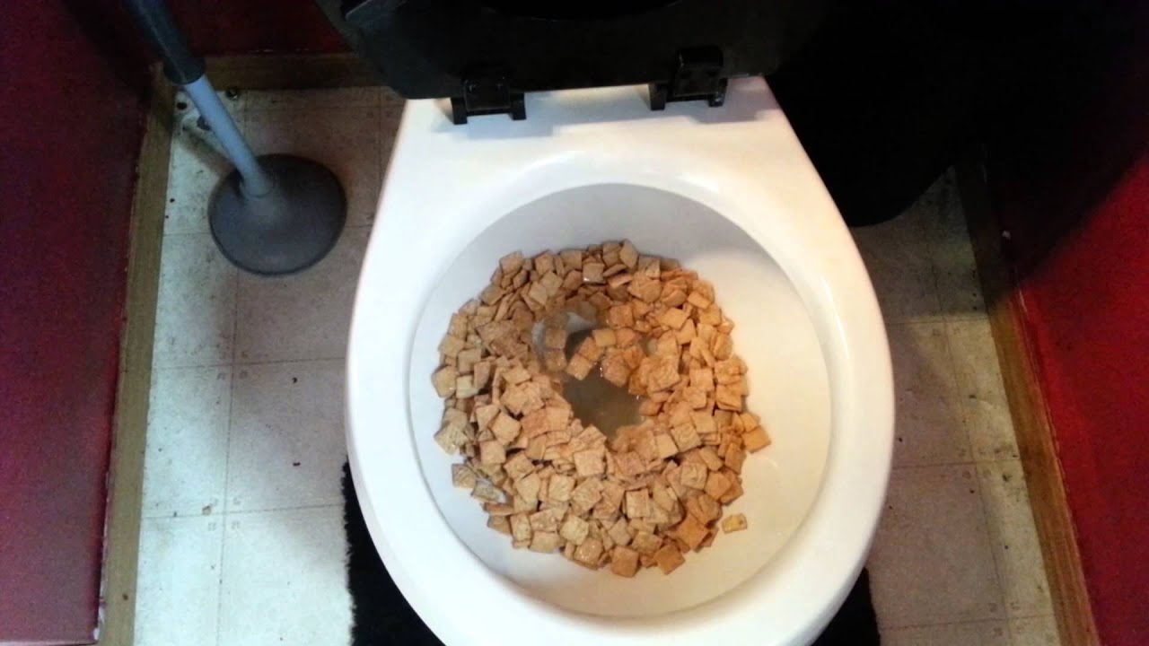 Think Twice Before Flushing Food Down Your Toilet