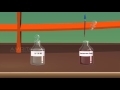 Study Mitosis in Onion Root Tip - MeitY OLabs