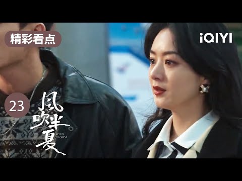 小陈为爱奔赴马尔代夫 赵丽颖欧豪狂奔机场阻止！ | 风吹半夏 EP23 Wild Bloom | 赵丽颖 欧豪 李光洁 | 商战励志剧 | 爱奇艺华语剧场