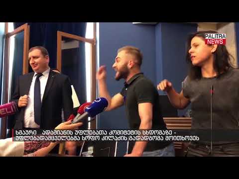 ხმაური ადამიანის უფლებათა კომიტეტის სხდომაზე - უფლებადამცველებმა სოფო კილაძის გადადგომა მოითხოვეს
