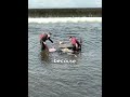 The Most Creative Chess Match Ever❤️