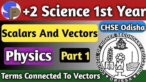 Scalar And Vector Quantities Physics | Vectors Physics Class 11th | +2 Science First Year
