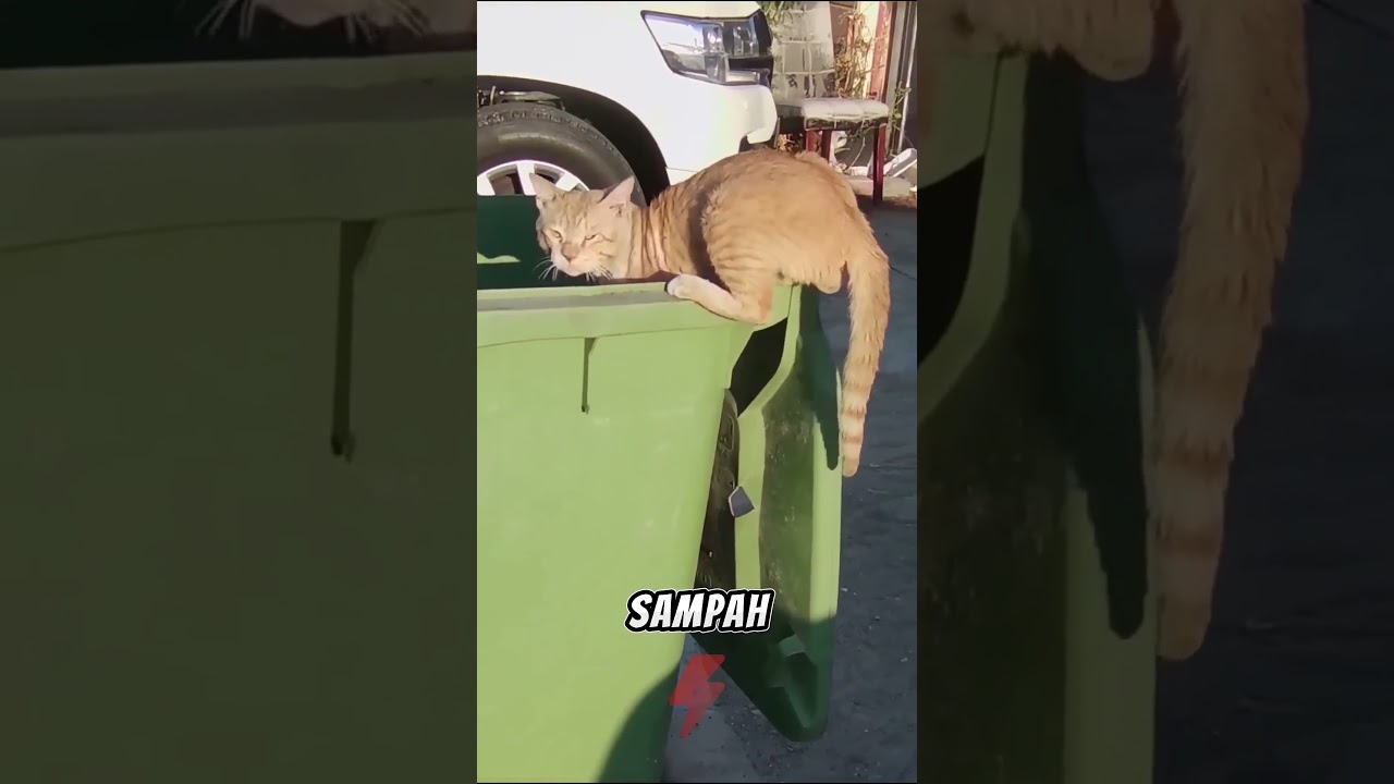 HANCURKAN kaleng makanan sebelum dibuang ‼️