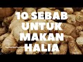 10 sebab untuk makan halia